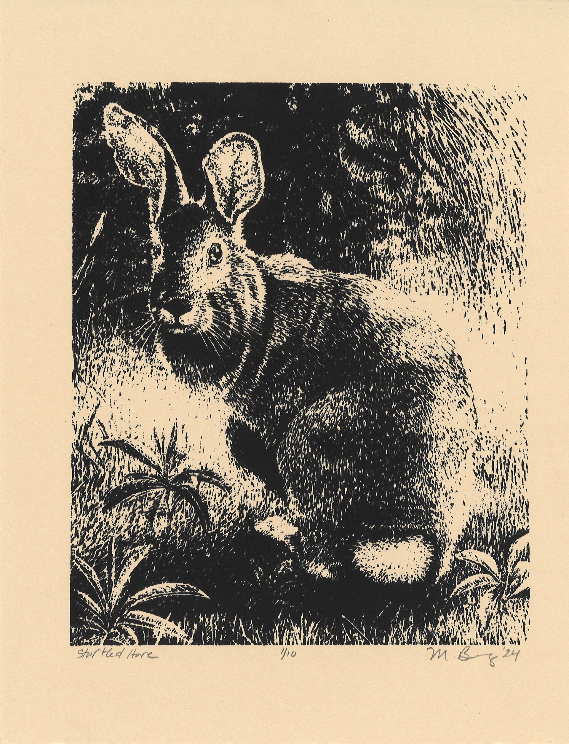 black and white print of a rabbit looking at the viewer