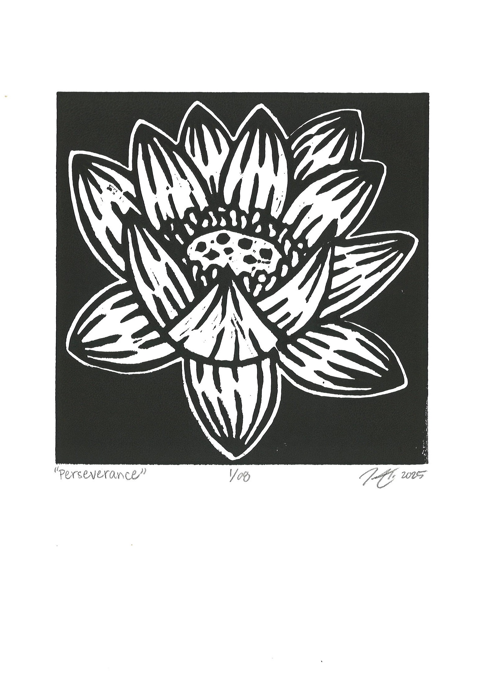 Flyer with a black and white print of a lotus titled perserverance