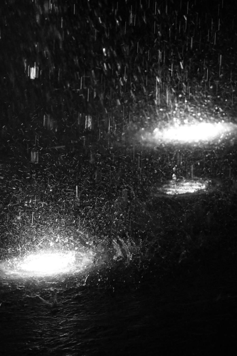 Bright Photography by Emily J. Won