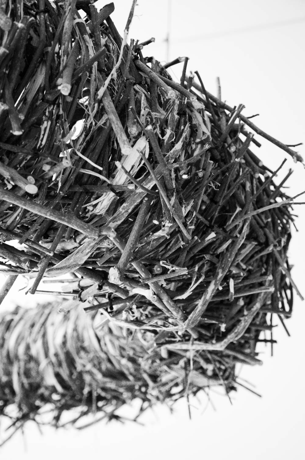 Woven Narrative Black and White photo by Emily J. Won