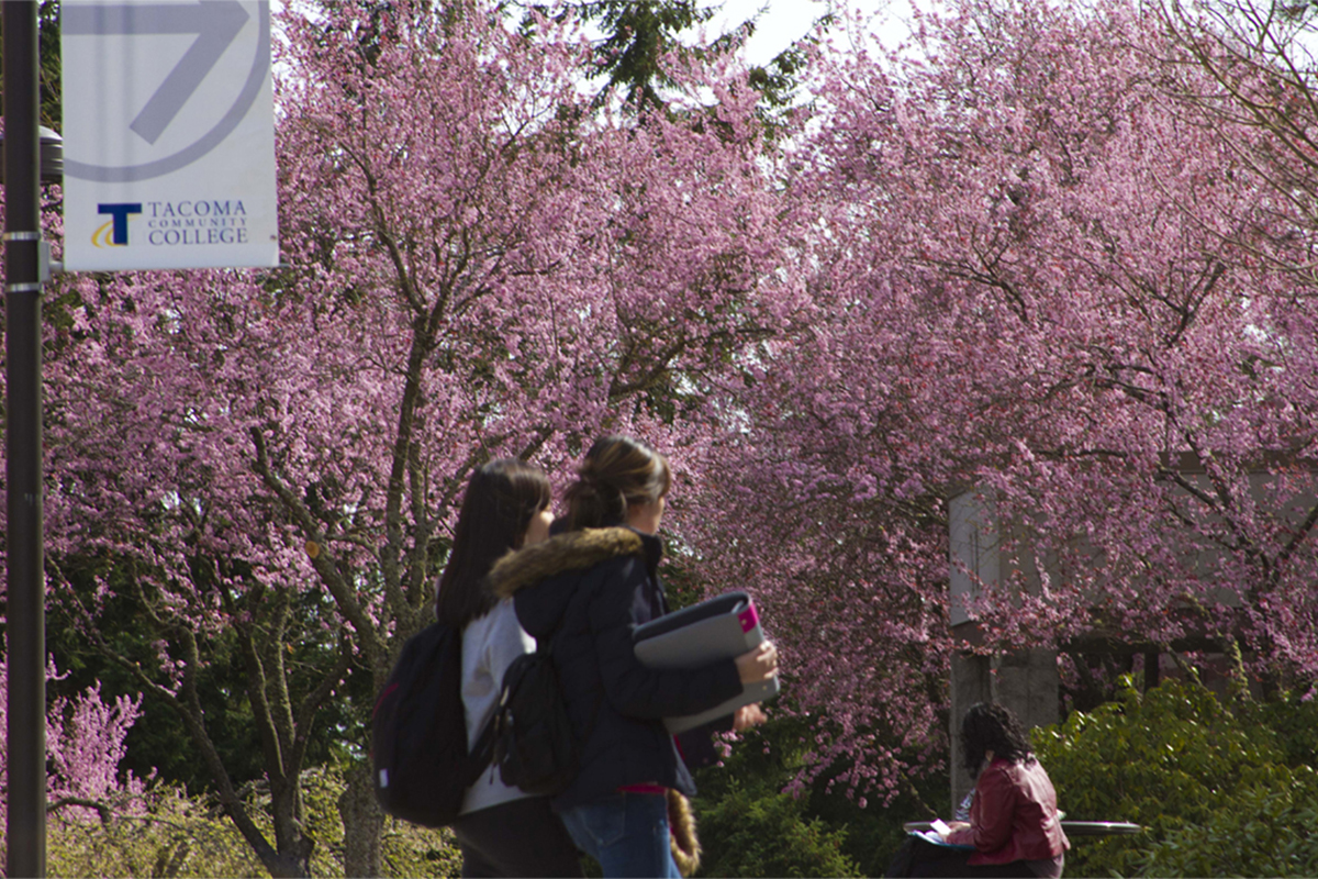 Two women walking with books and one woman seated at a table against a backdrop of pink flowering plumb trees