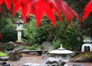 red leaves and stone in the japanese garden